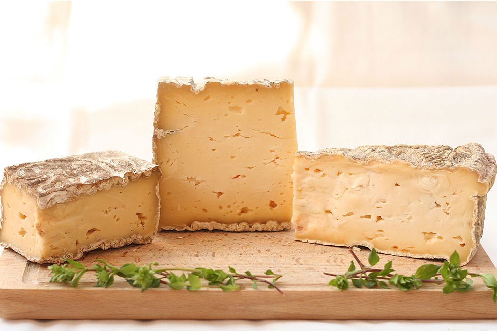 Mleko i jego przetwory zawierają bardzo dużo wartościowych składników odżywczych