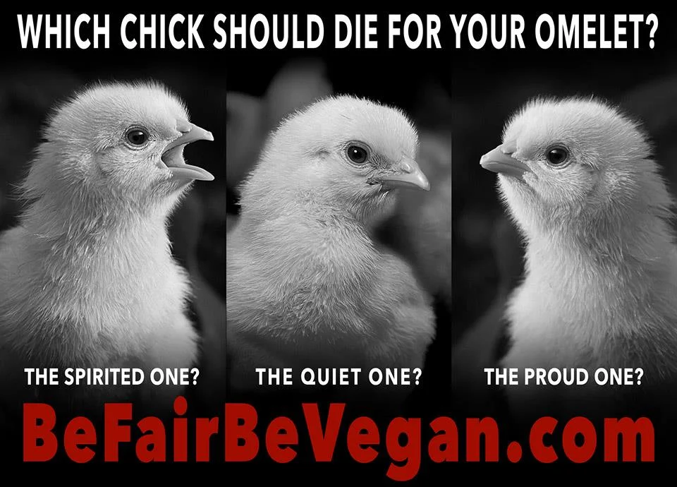 BE FAIR BEVEGAN - wegańska kampania billboardowa na Time Squere.
Które wybierasz?