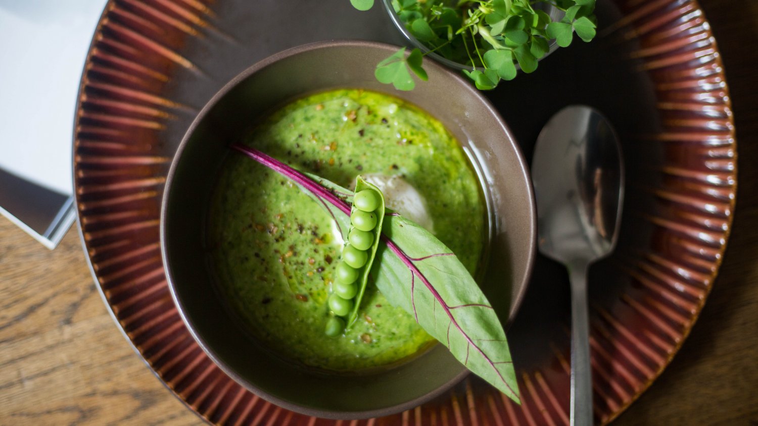 Ogórkowy chłodnik z niecierpkiem.