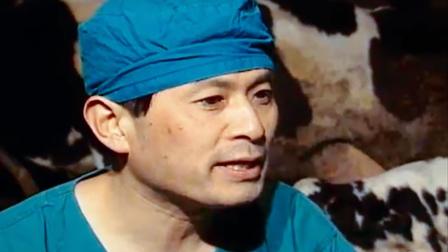król klonów netflix klonowanie Hwang Woo-suk król klonów netflix klonowanie Hwang Woo-suk recenzja czy warto