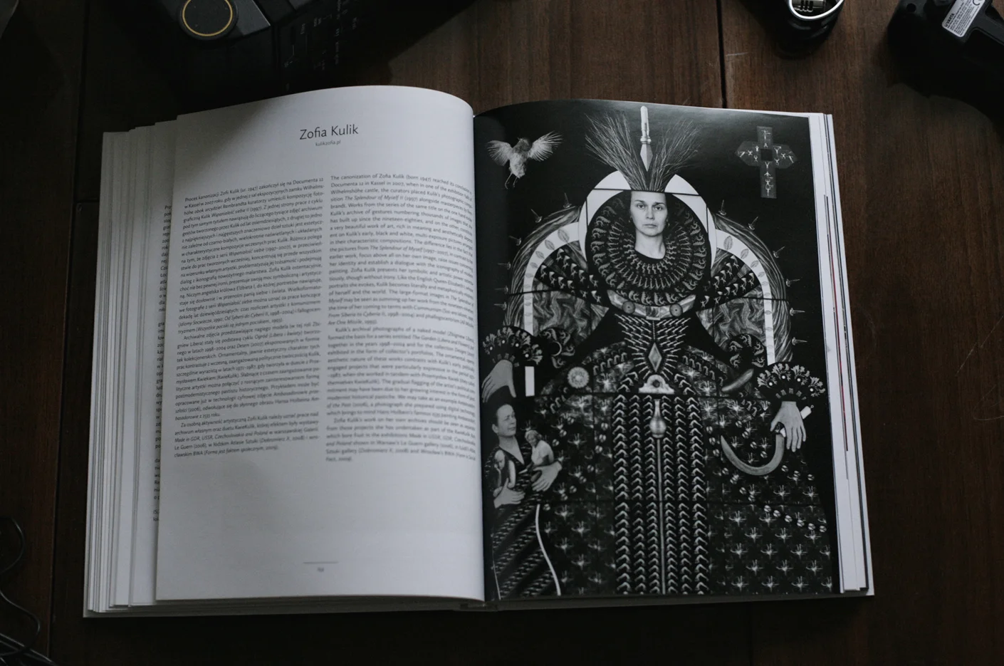 Zofia Kulik, Wspaniałość Siebie (wersja V), 2007