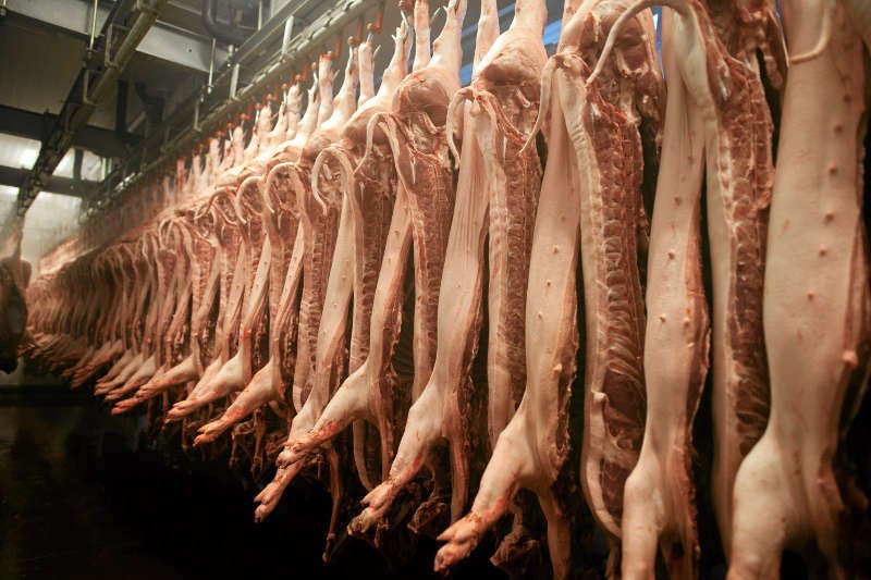 Ukraina nakłada na nas kolejne embargo na wieprzowinę, a Rosję i Białoruś zostawia w spokoju. Dlaczego?