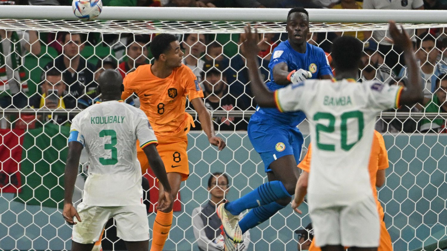 Wielki faworyt MŚ mógł powtórzyć wpadkę Polaków sprzed lat. Cody Gakpo dał Oranje triumf nad Senegalem