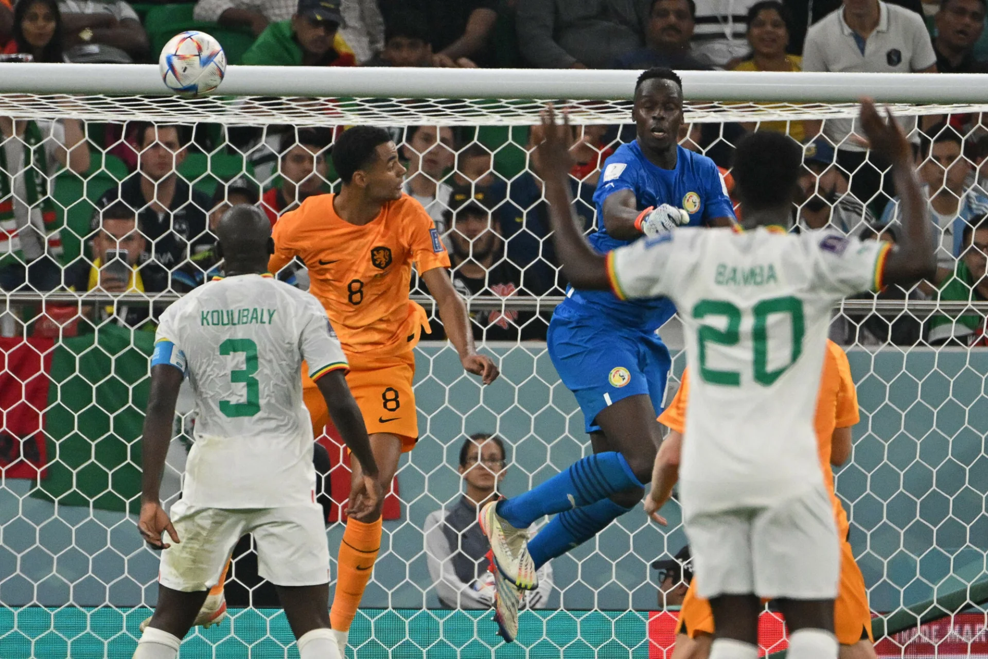 Wielki faworyt MŚ mógł powtórzyć wpadkę Polaków sprzed lat. Cody Gakpo dał Oranje triumf nad Senegalem