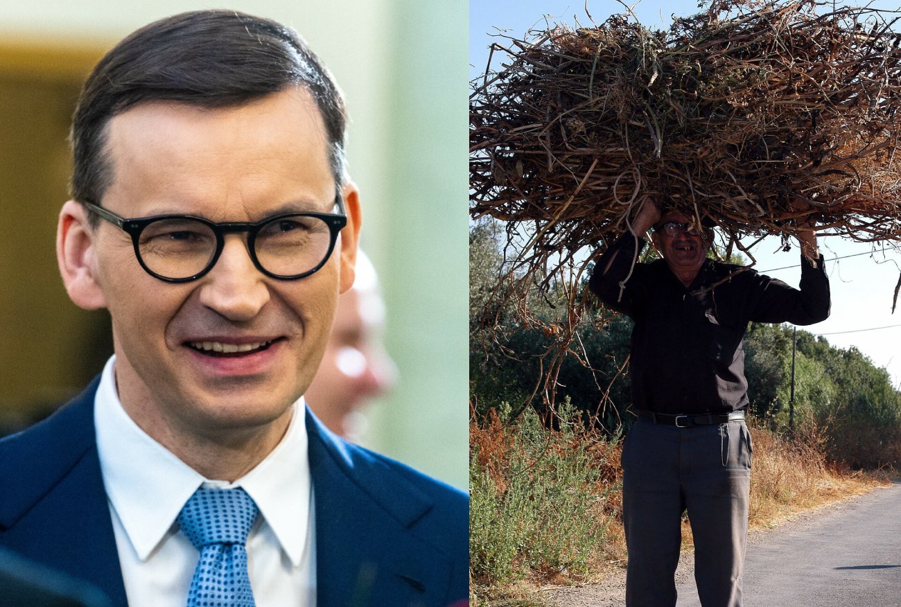 PiS zachęca Polaków do zbierania chrustu. "Gigantyczne zapotrzebowanie"