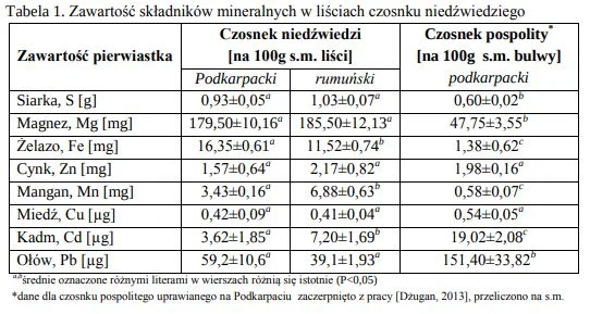 Jak wygląda porównanie składników odżywczych w czosnku pospolitym i czosnku niedźwiedzim? Czosnek pospolity a czosnek niedźwiedzi (porównanie)