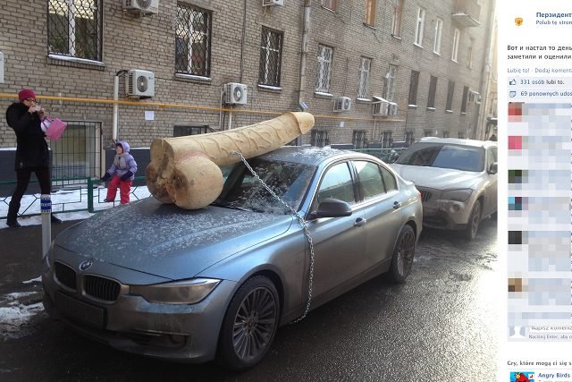 Drewniany penis został uwieczniony na zdjęciach