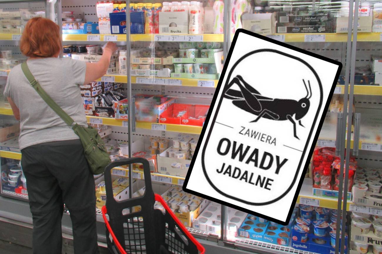 Symbol owada na opakowaniach. Co znaczy konik polny i po co zmiana?