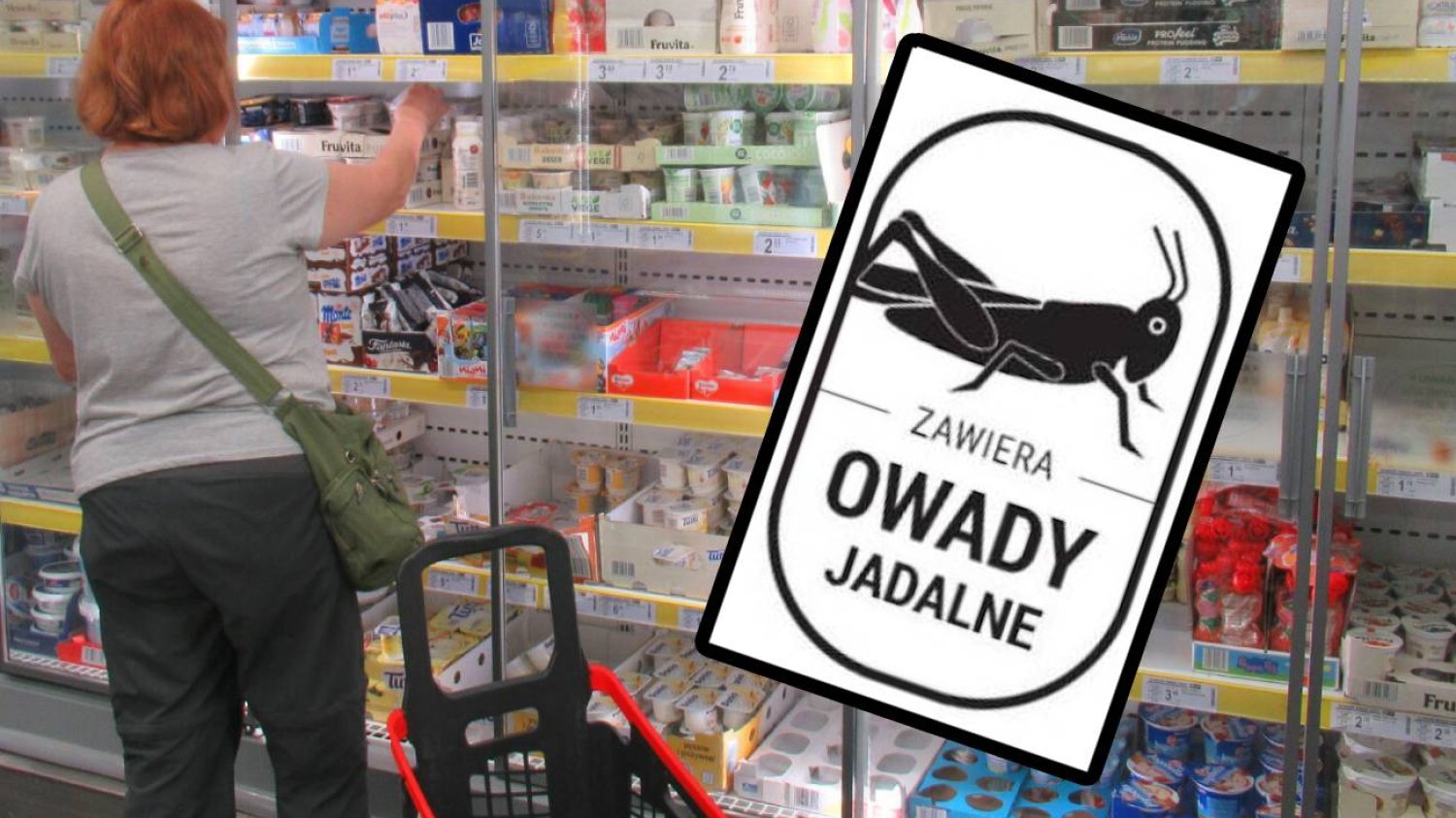 Symbol owada na opakowaniach. Co znaczy konik polny i po co zmiana?