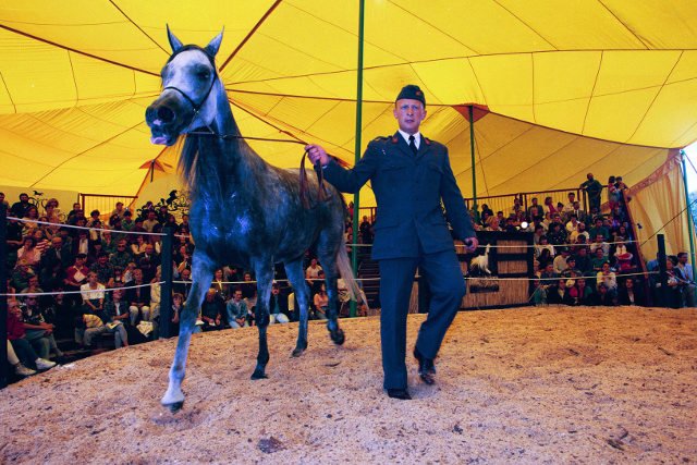 Czy w tym roku aukcja Pride of Poland w ogóle się odbędzie?