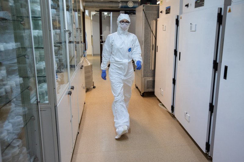 Po raz kolejny spadła liczba wykonywanych testów na koronawirusa w Polsce.