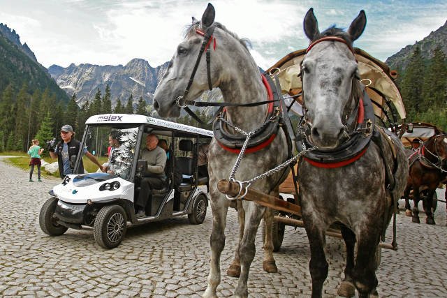 Meleksy nie będą kursować na trasie do Morskiego Oka