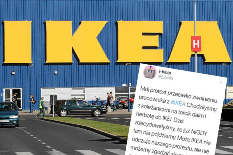 Kontratak prawicowych kuzynek ws. IKEI.