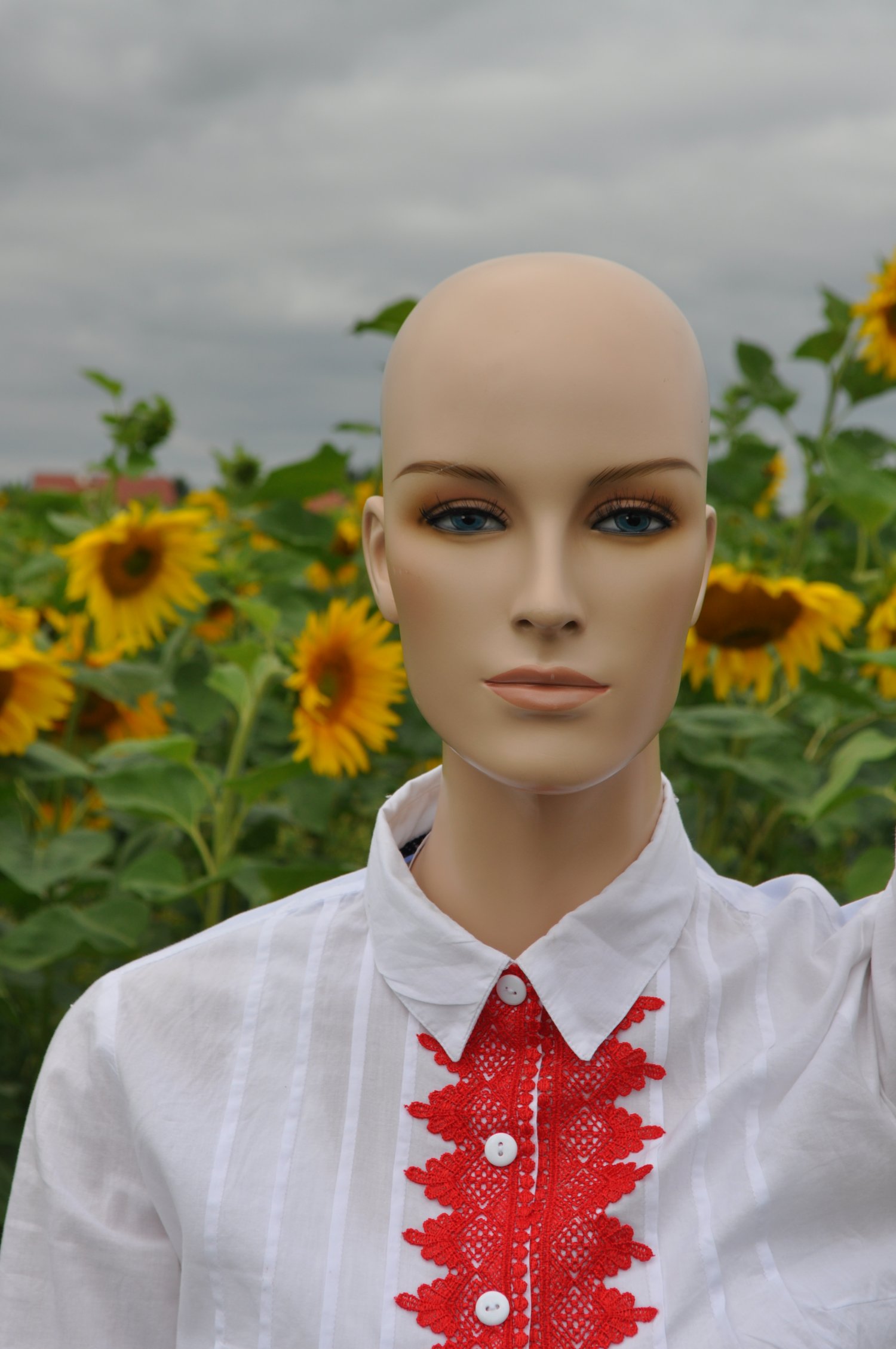 PG ZiZajn , koszulinda z czerwonym elementem