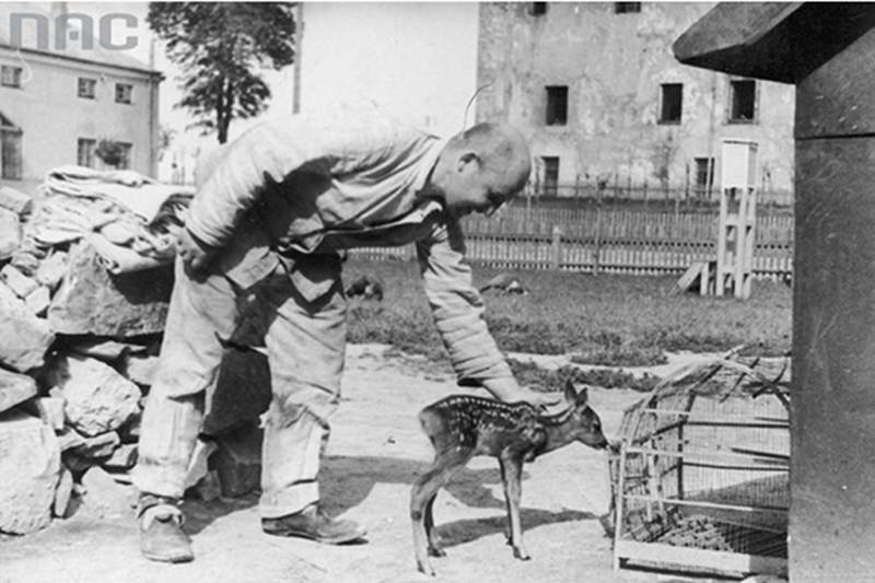 Więzienie Ciężkie na Świętym Krzyżu. Więzień z sarenką
