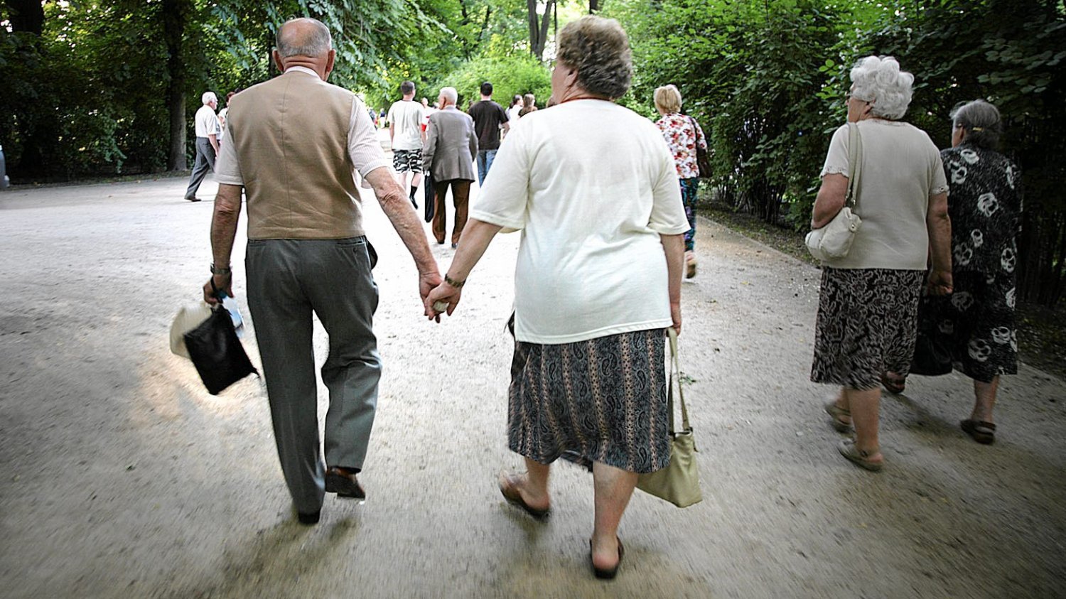 Dobre wieści dla emerytów: Dni Seniora w ZUS jeszcze jesienią 2025 r., a bon senioralny w 2026 r. Dobre wieści dla emerytów: Dni Seniora w ZUS jeszcze jesienią 2025 r., a bon senioralny w 2026 r.