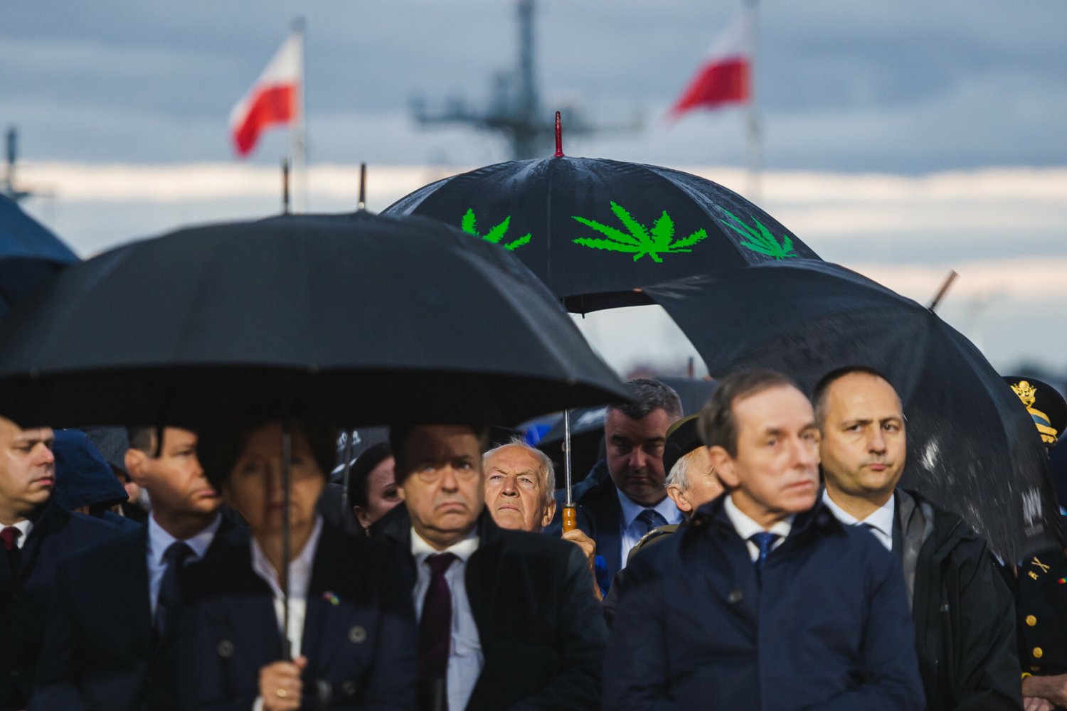 Parasol z liśćmi konopi podczas uroczystości na Westerplatte.