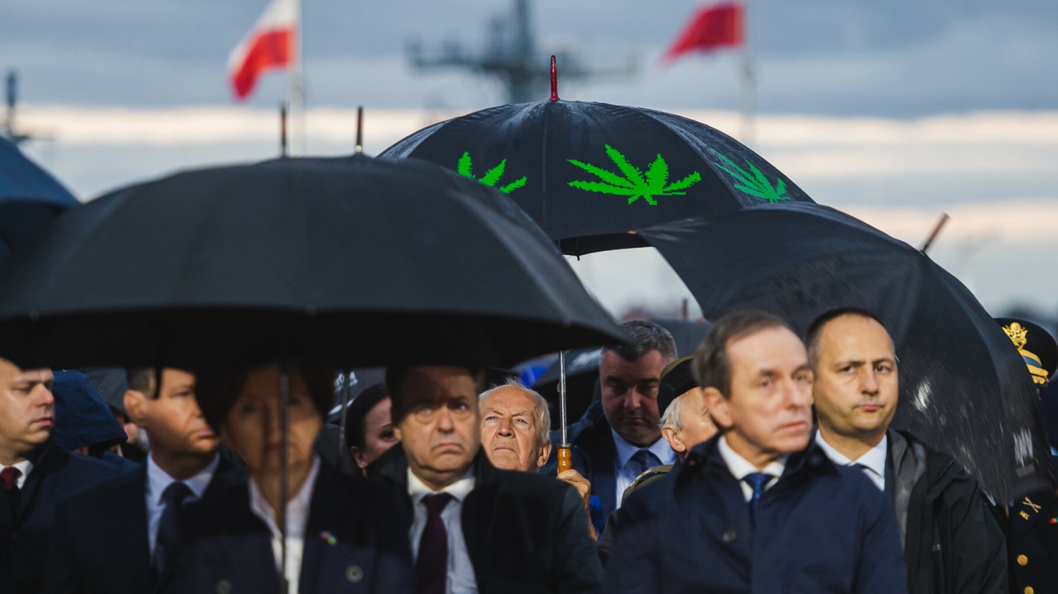 Parasol z liśćmi konopi podczas uroczystości na Westerplatte.