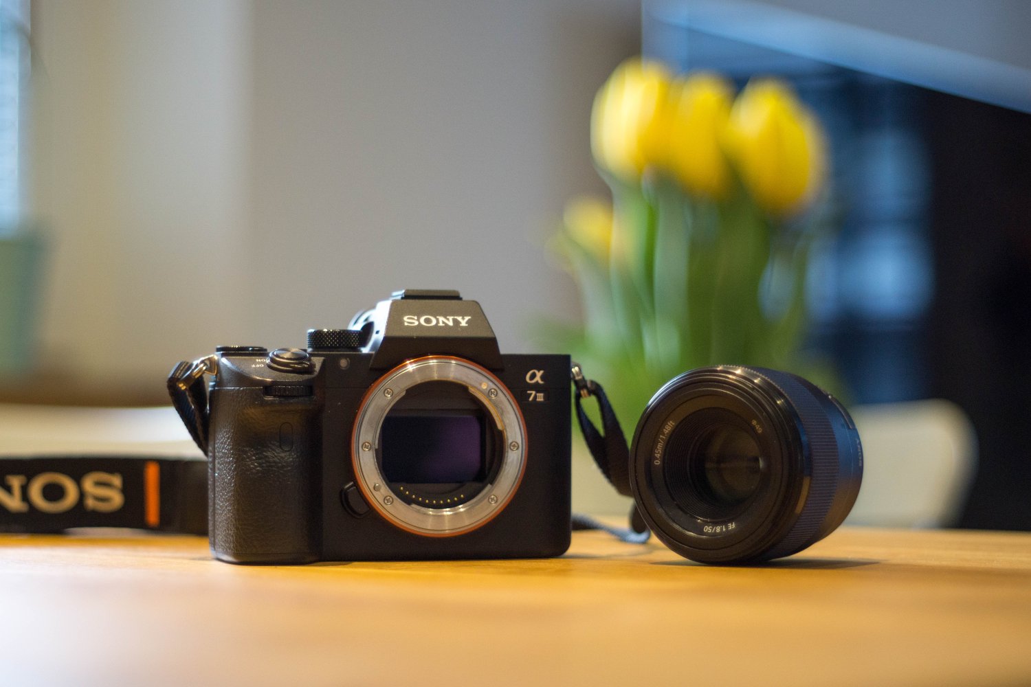 Sony A7 III sprawdzi się i fotograficznie, i w wideo.