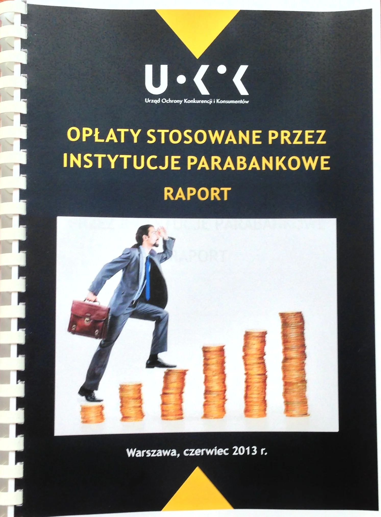 II cz. Raportu o firmach pożyczkowych
