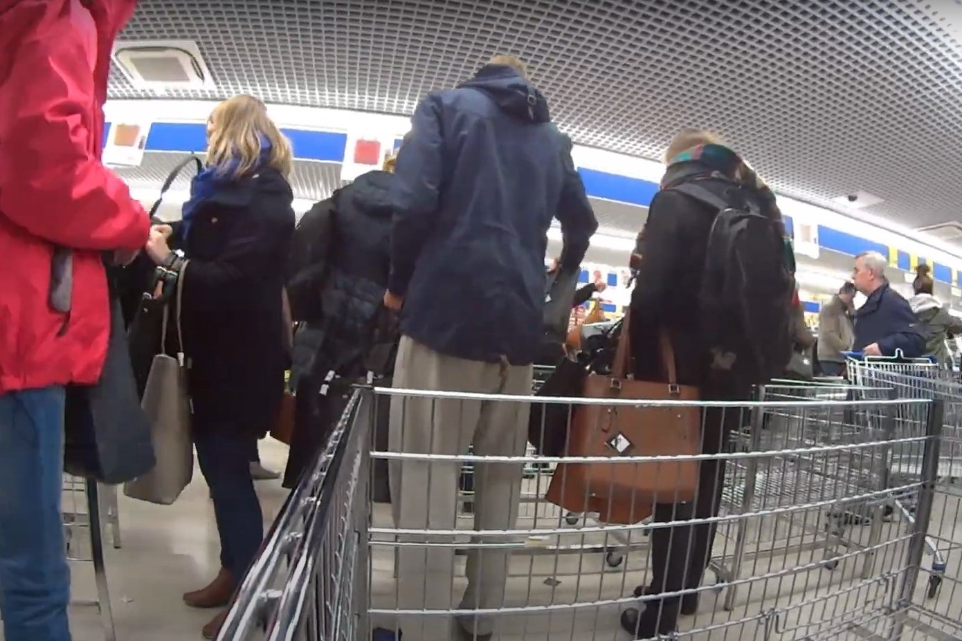 Torebki Wittchen znów w Lidlu. Promocja od 7 grudnia 2024 r.