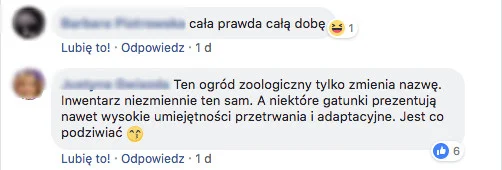 Opinie Internautów.