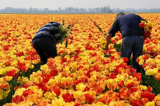 Czy sytuacja polskich emigrantów ulegnie poprawie? Na razie nie widać takiej tendencji.