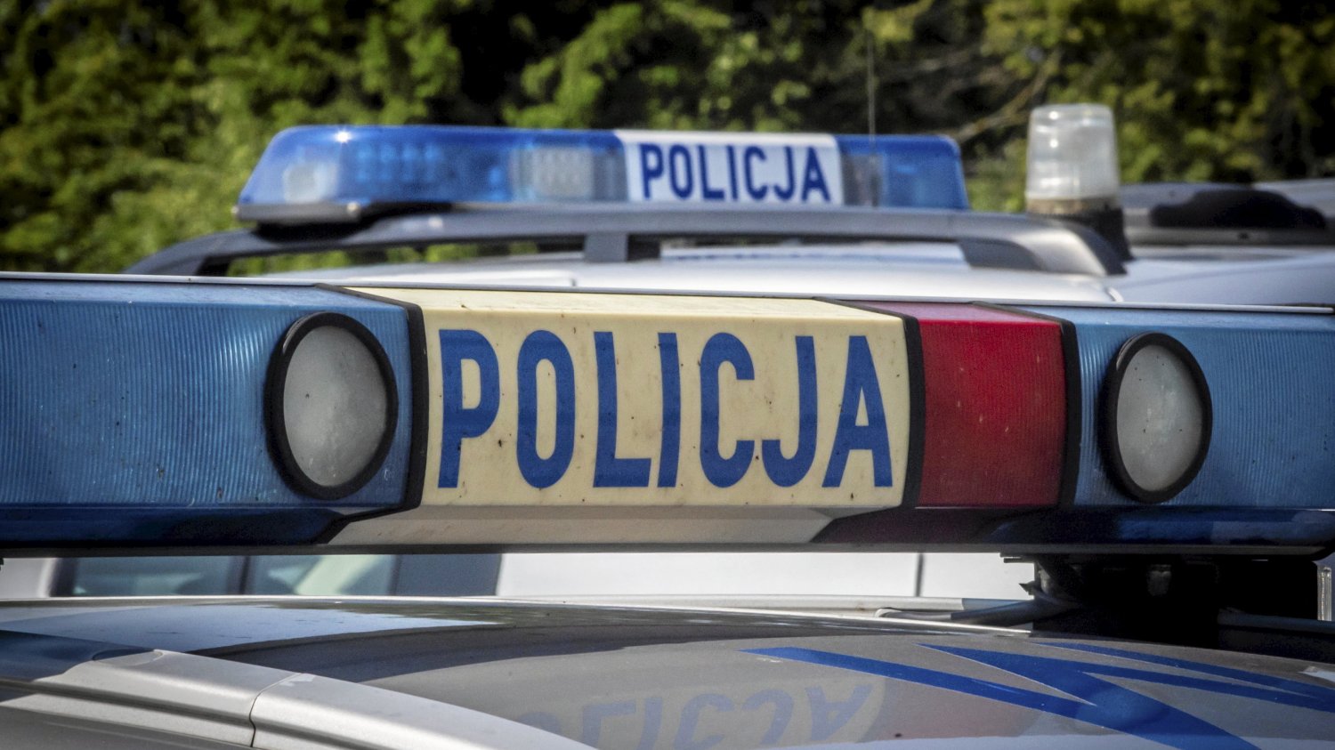 policja