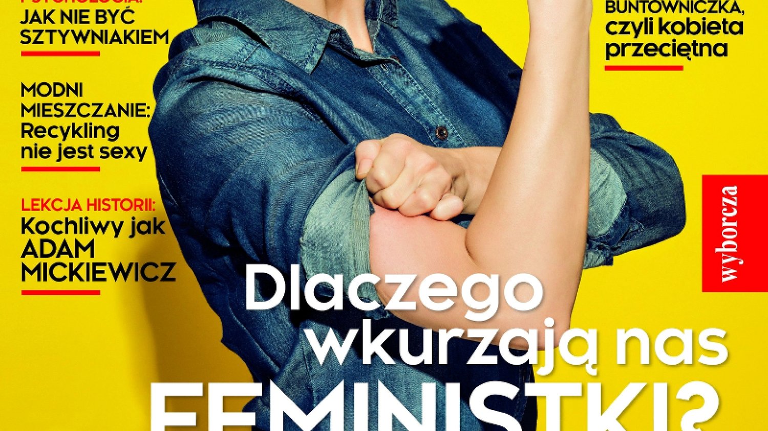 Okładka 3 numeru (2015) miesięcznika "Wysokie Obcasy Extra".