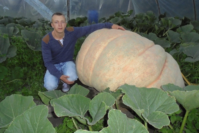 W Polsce jest kilkudziesięciu takich hodowców