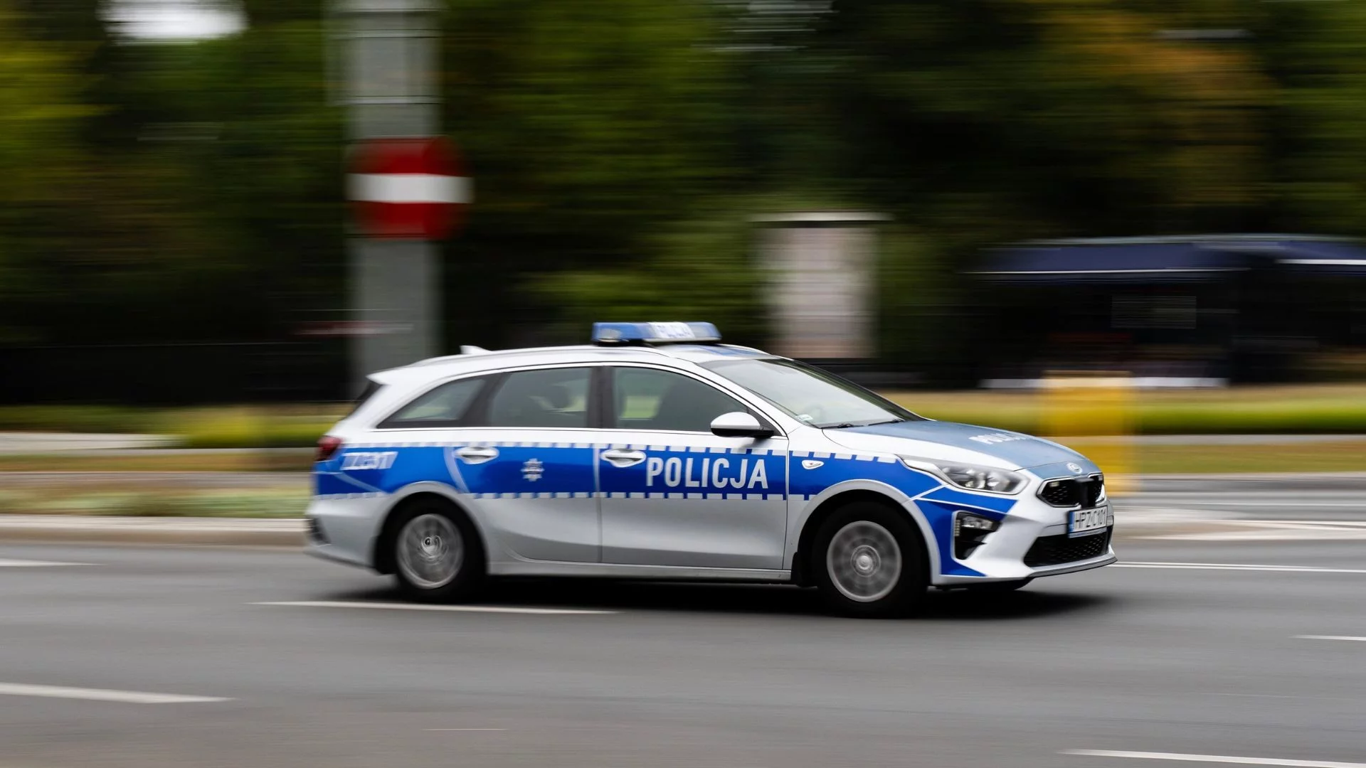 Wstrząsające odkrycie w Lutoryżu pod Rzeszowem. "Szczątki co najmniej 13 płodów"