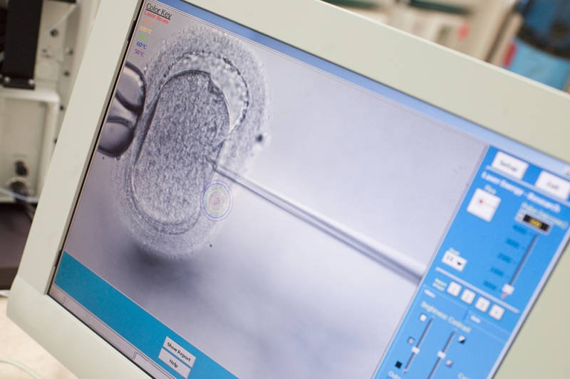 W USA przeprowadza się castingi na dawczynie komórek jajowych potrzebnych do zapłodnienia metodą [url=http://shutr.bz/192NxxE]in vitro[/url].