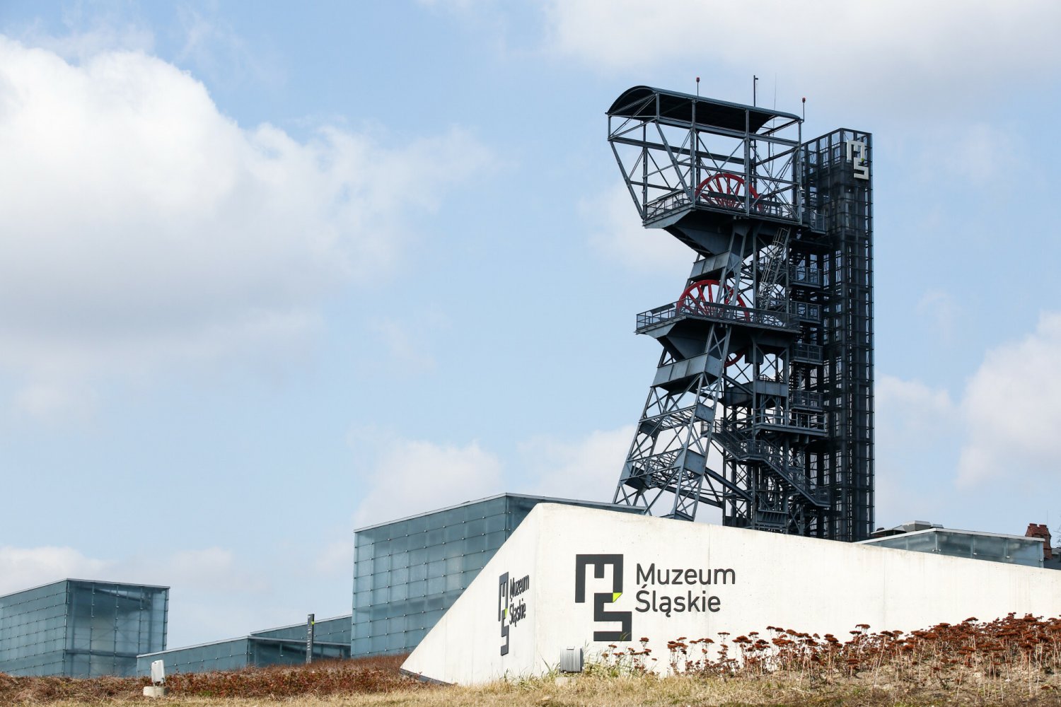 Dyrektorka Muzeum Śląskiego miała nakazać usunięcie tytułu "Lex Szyszko" z jednej prac na Triennale Grafiki Polskiej.