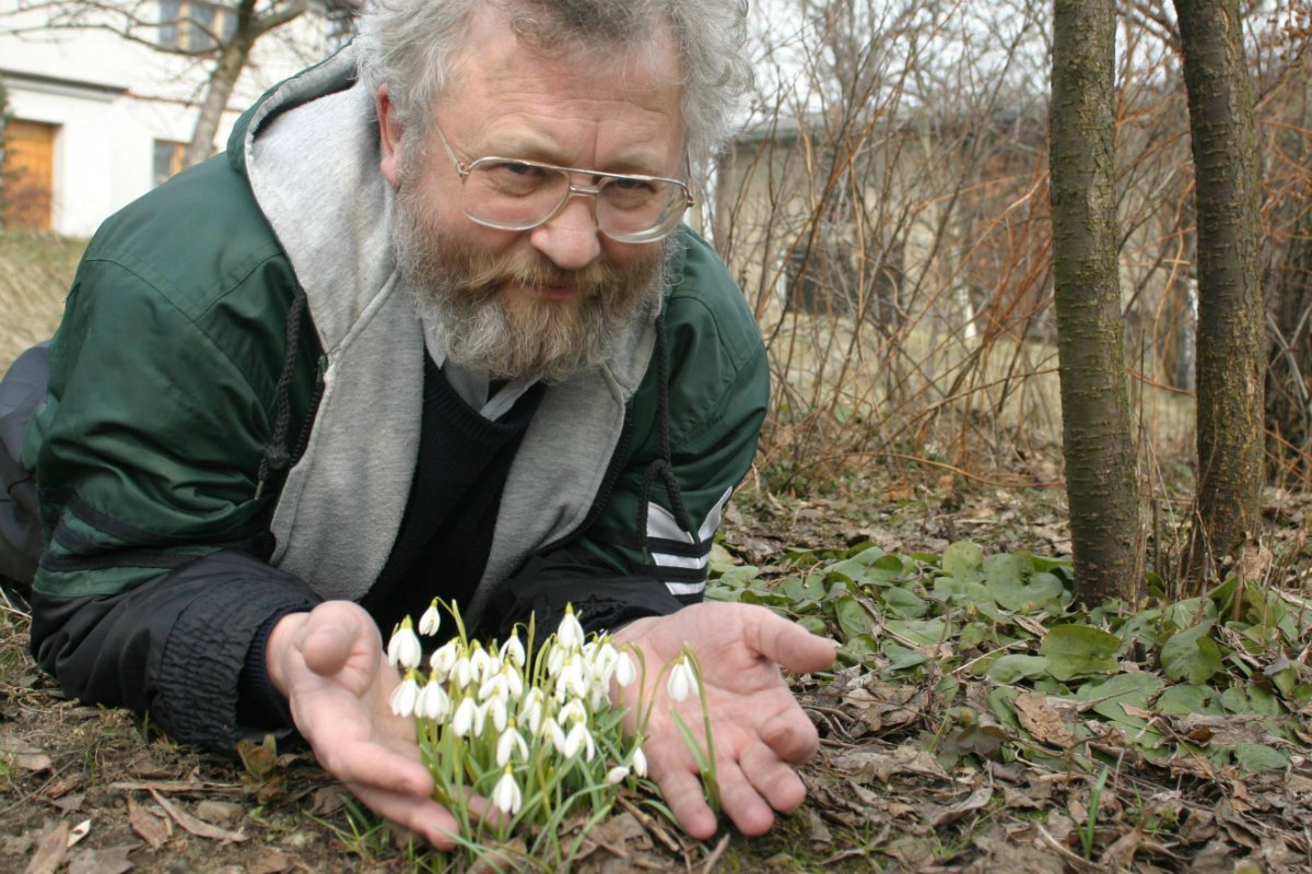Przebiśniegi to pierwsza oznaka wiosny. Astronomiczna wiosna rozpocznie się dokładnie 20 marca o godz. 22:58.