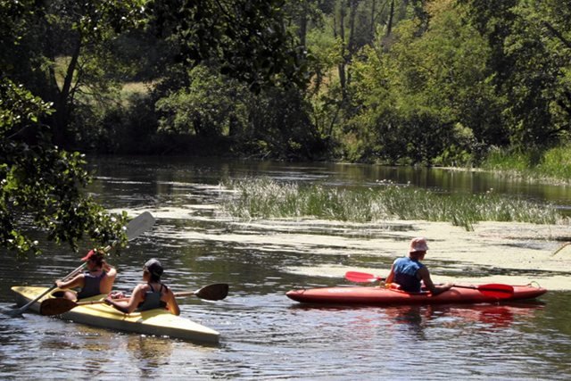 Zdjęcie stanowi jedynie ilustrację do artykułu.