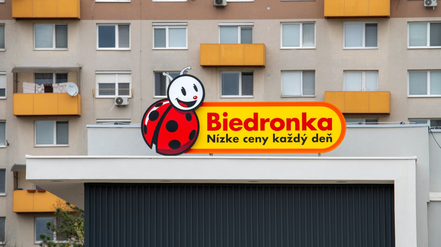 Promocja na kawę Dallmayr w Biedronce. 1 kg Dallmayr za mniej niż 50 zł