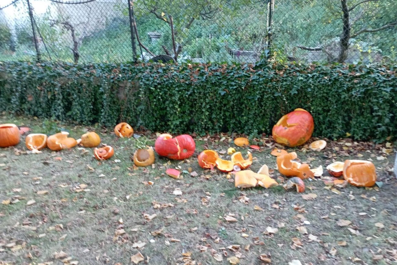 Ksiądz z Czech rozwalił dynie przygotowane przez dzieci na obchody Halloween.