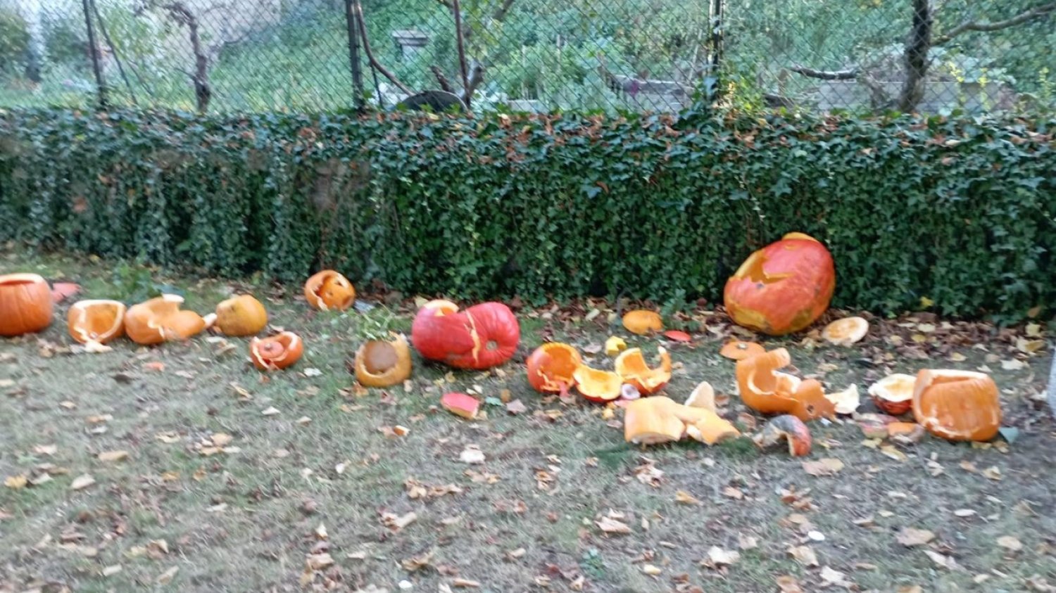 Ksiądz z Czech rozwalił dynie przygotowane przez dzieci na obchody Halloween.