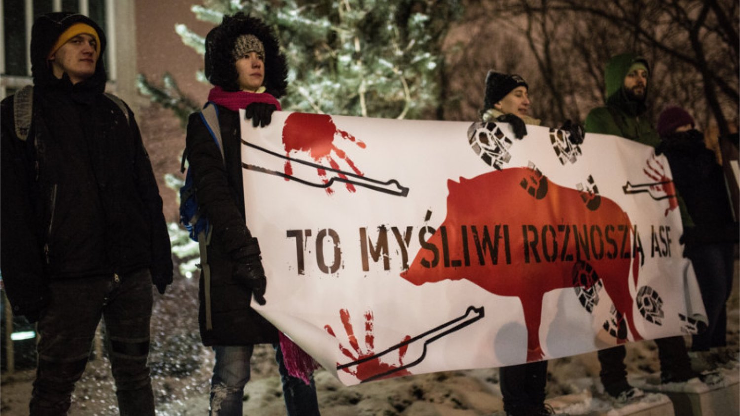 W obronie dzików odbyły się demonstracje, m.in. w Warszawie.