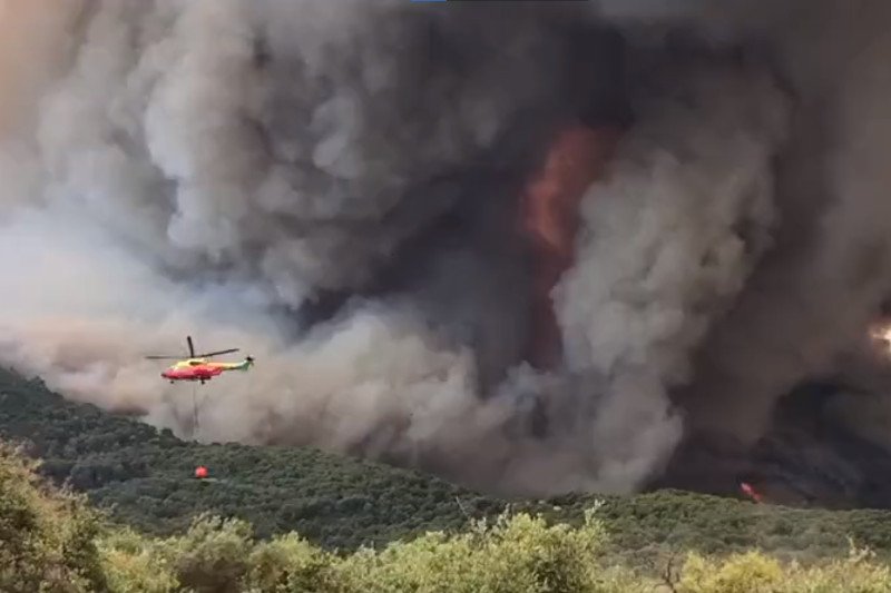 W Hiszpanii zmarło 510 osób. Wśród ofiar morderczych upałów są również młodzi ludzie