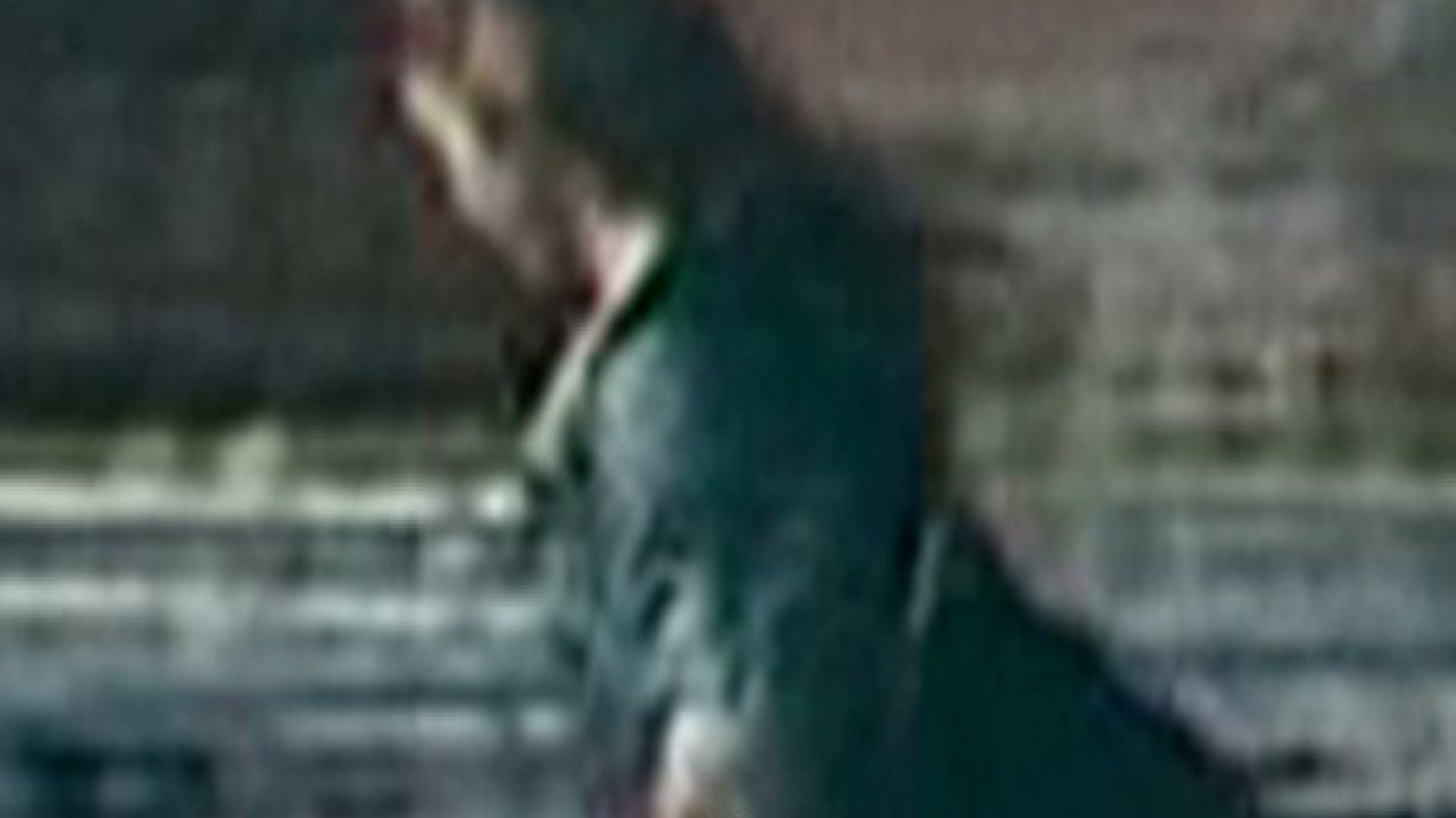 MAJKA FROM THE MOVIE (na bazie serialu SZALEŃSTWO MAJKI SKOWRON), EPILOG (stop klatka)