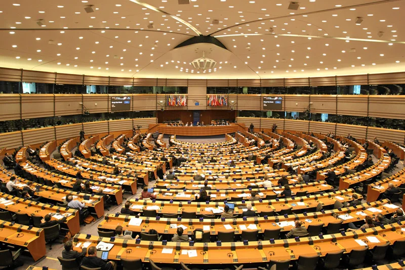 Jakimi dokonaniami liderzy list w wyborach do PE mogą się pochwalić?