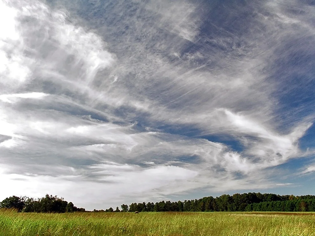 Cirrus