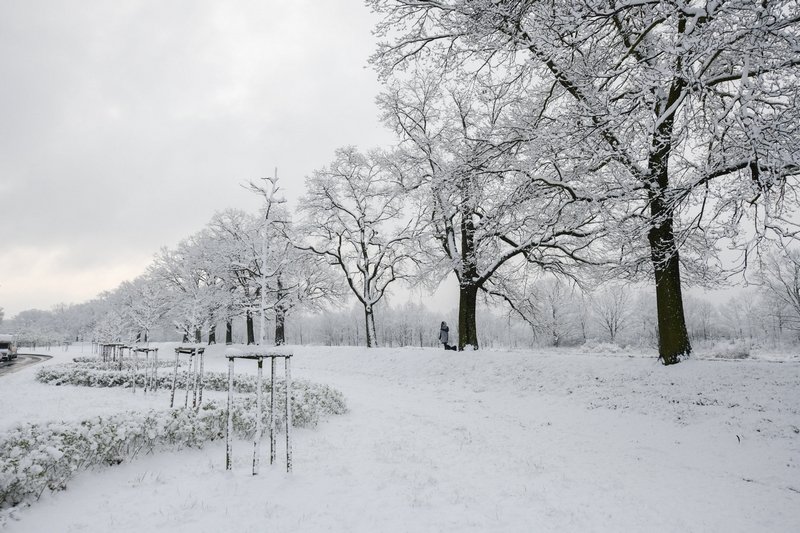 Pogoda na Boże Narodzenie - czy w Polsce znowu spadnie śnieg.