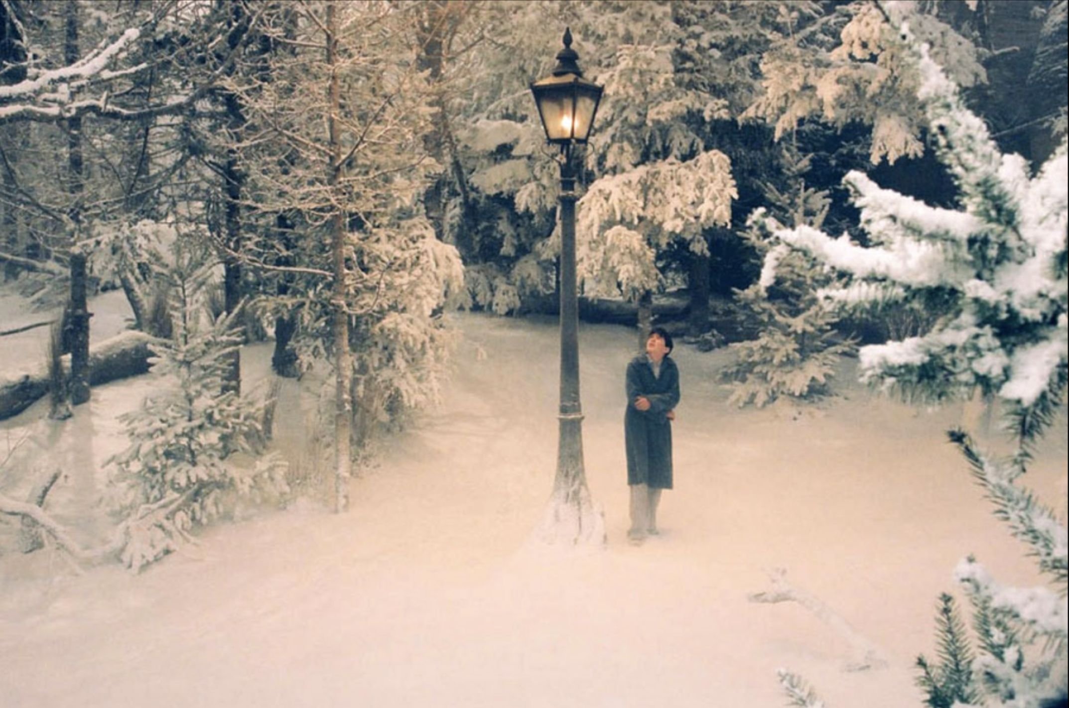 Co obejrzeć zimą? Najlepsze filmy na zimowe wieczory 2021 [LISTA] |  naTemat.pl