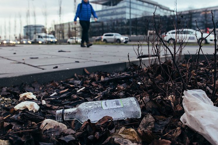 Popularność małpek widać szczególnie na trawnikach