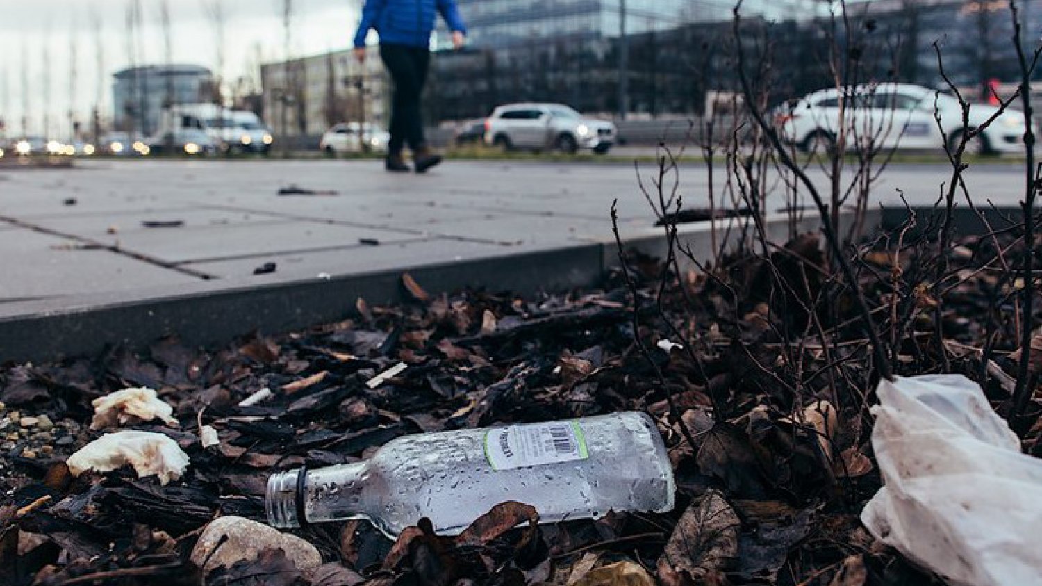 Popularność małpek widać szczególnie na trawnikach