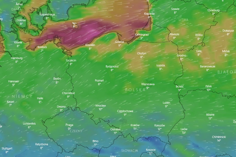 Na piątek w Polsce zapowiadane są kolejne wichury.