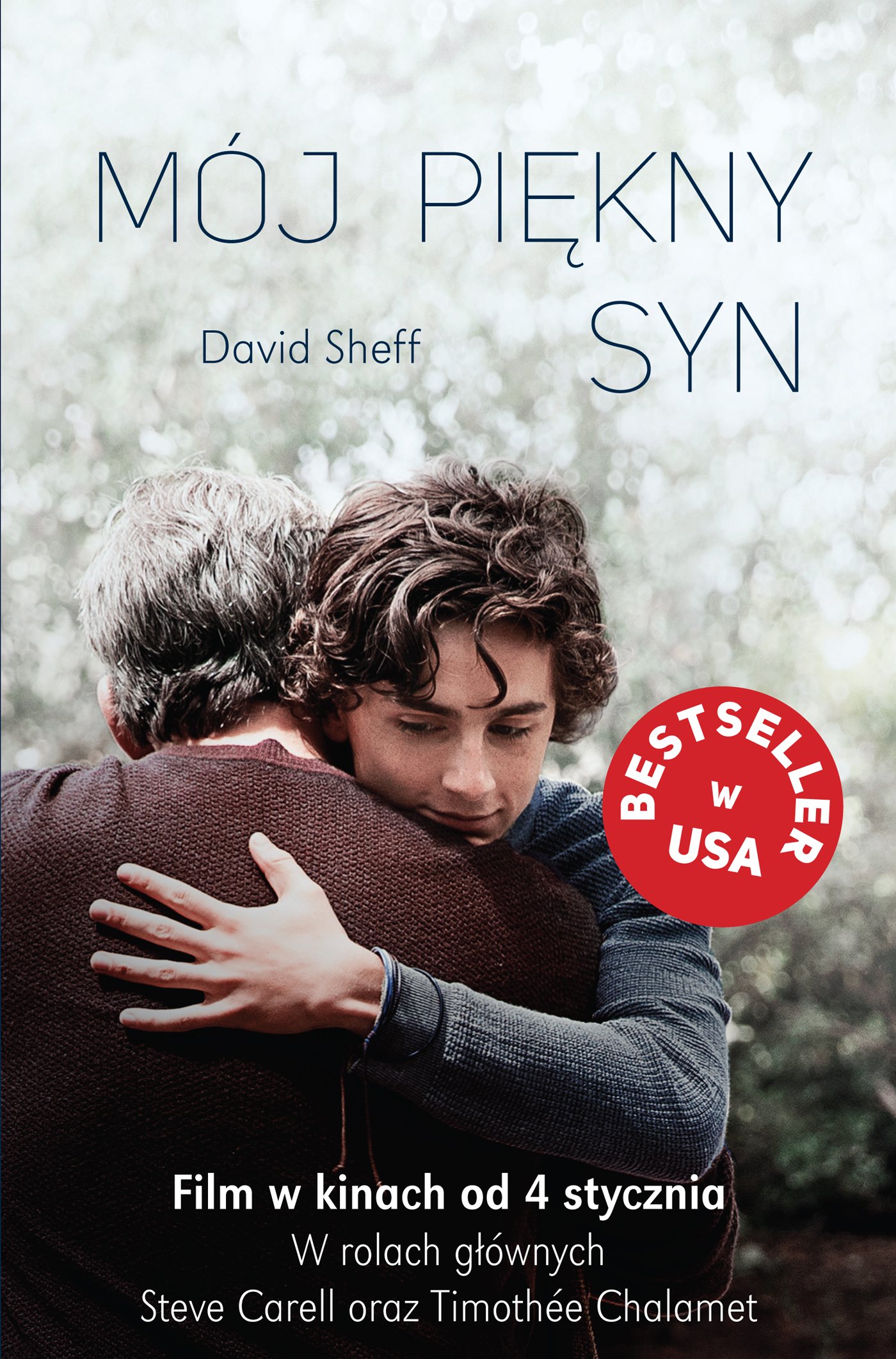 David Sheff "Mój piękny syn"