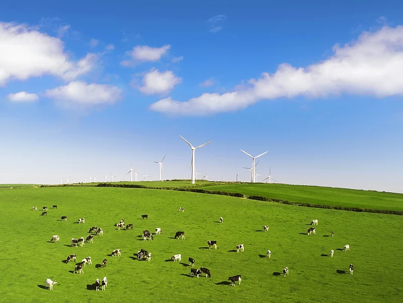Poza proklimatycznymi oczekiwaniami "zielonych klientów", które już są zauważalne na rynku spożywczym, trendy kształtować będzie też Europejski Zielony Ład